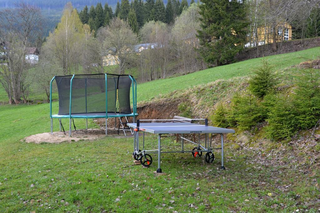 Pension Silva Špindlerŭv Mlýn Exterior foto
